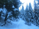raduno-scialp.della-ValGrigna-001-1