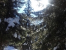 raduno-scialp.della-ValGrigna-001-16