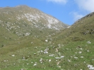 Baita-golla-013