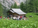 cortina812
